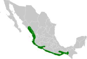Trogon citreolus map.svg