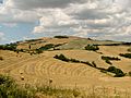 Tuscany landscape west of Siena