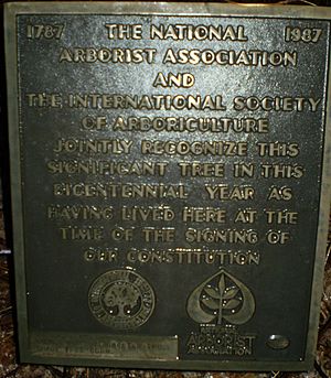 WashingtonOakPlaque