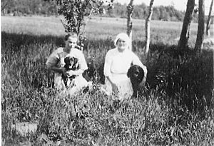 1913 American Water Spaniels