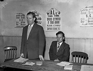 1959 Election in Merioneth