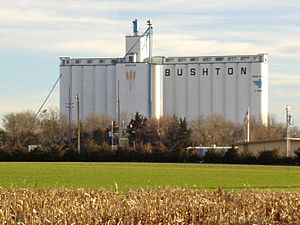 Grain elevator in Bushton (2004)