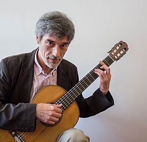 Carles Trepat, guitarrista