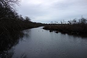 Carmans river, Wertheim National Wildlife Refuge.jpg