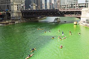 ChicagoStPatricksDay2015