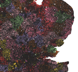 Combined Land Parcels of Eastern England from English & Welsh Cadastral Data