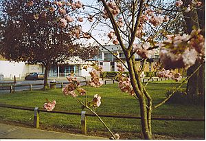 Cranleigh Leisure Centre. - geograph.org.uk - 167971