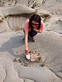 Dinosaur Provincial Park 11