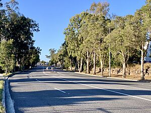 Fairfield Road, Yeerongpilly, Queensland