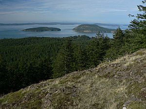 Fidalgo Island 28252