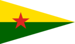 Flag of Hêzên Parastina Gel.svg