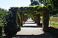 Fort Worth Botanic Garden October 2019 17 (Republic of Texas Rose Garden)