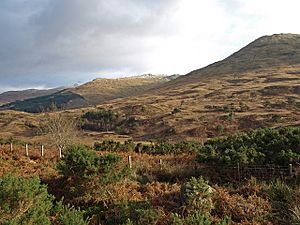 Glen Falloch - geograph.org.uk - 1059231