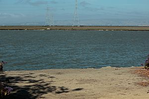 Greco Island across Westpoint Slough