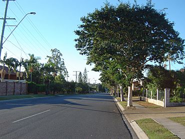 Ham Road Wishart.jpg