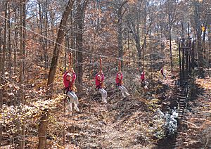 Hemlock Overlook - Zip-line - 10