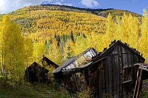 Ironton Ghost Town in 2014