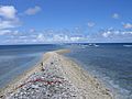 Kingman Reef Oct 2003