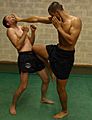 Lethwei-Knee-Hand