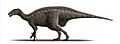 Mantellisaurus atherfieldensis Steveoc