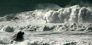 Mavericks and surfer