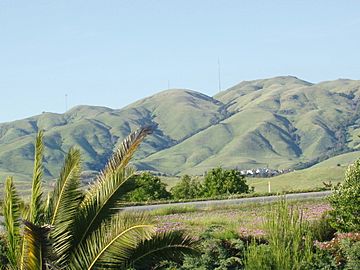 Milpitas view2.JPG