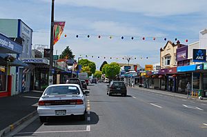 Motueka State Highway 60 002