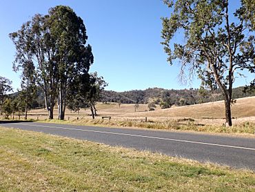 Mount Kilcoy Road Winya Queensland.jpg