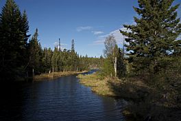 Murray Lake, Manitoba.jpg