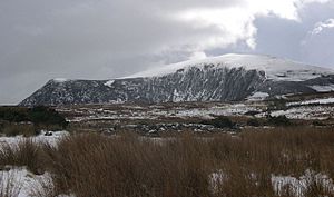 Mynydd Mawr (Elephant Mountain)