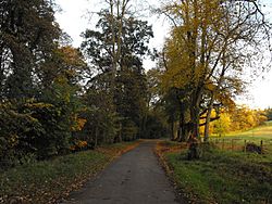 Newmilns 09-10-17 autumn broons road