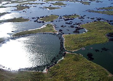 Pantanal, south-central South America 5170.jpg