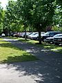 Parking lot landscaped with trees