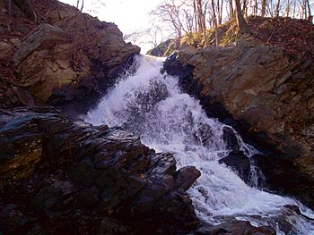 Piney run falls.jpg