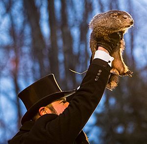 Punxsutawney Phil 2018 (cropped)