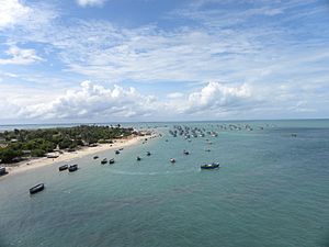 Aerial view of the Rameswaram island from Pamban Bridge