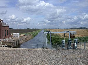 RiverLarkEngineDrainOutfall.jpg