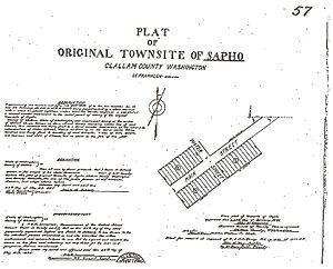 Sapho Homestead Document, 1895