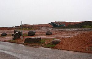 Shale Bing, Drumshoreland