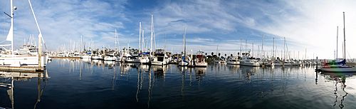 Shelter Island Marina San Diego