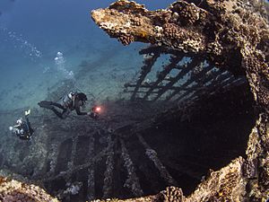 Ship wreck Carnatic 2017-04-22 Egypt-7947