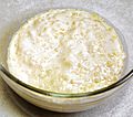 Tapioca pudding-3.jpg