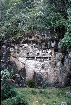 Toraja tumbs