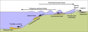 Tsunami deposit environments