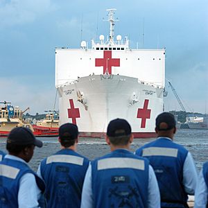 USNS Comfort (cropped)