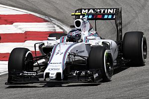 Valtteri Bottas 2015 Malaysia FP3