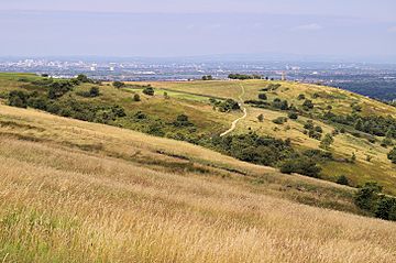 Werneth Low.jpg