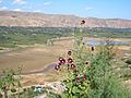 5920-Dongxiang-County-Daxiahe-valley-fields-seen-from-Linxia-County