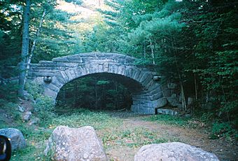 Acadia bridge.jpg