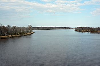 Altamaha River from bridge.jpg